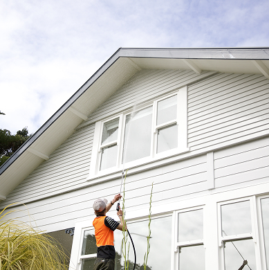 House washing service - professional cleaning