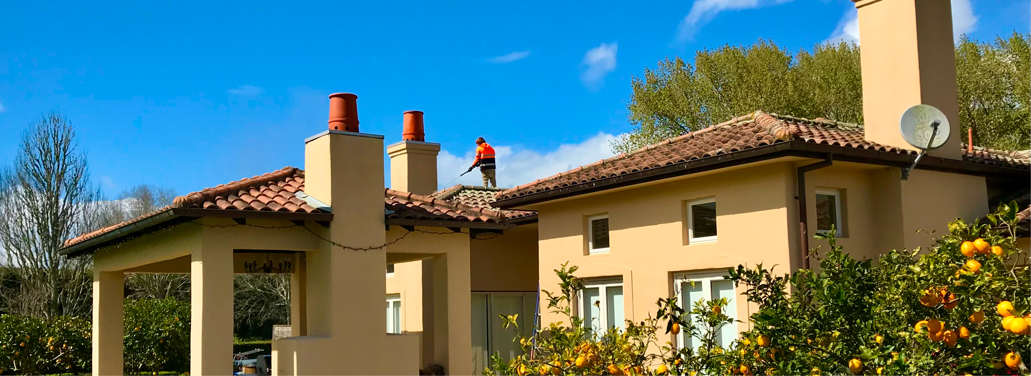 Roof treatment service - moss removal and protection