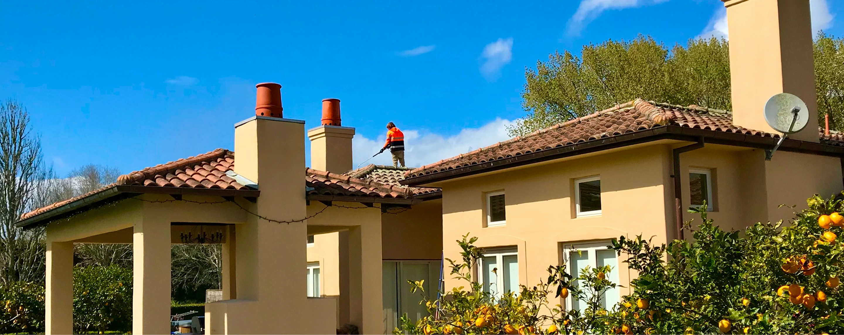 Professional roof washing service