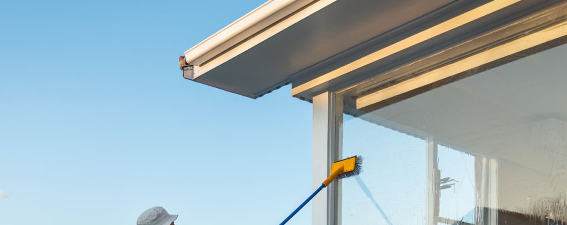 Professional window cleaning service